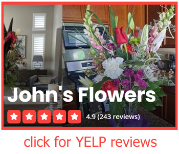 Yelp Plugin